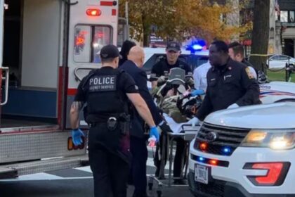 US Halts Afghan Immigration Requests After National Guard Shooting