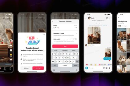 TikTok Rolls Out Shared Feed and Collections for Friends