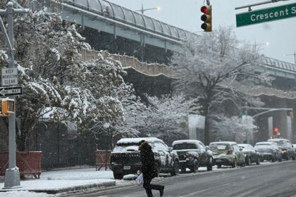 new-york-city-sees-first-big-snowfall